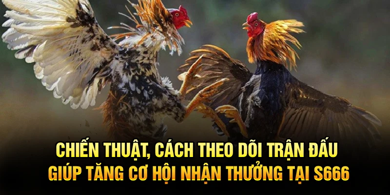 Chiến thuật, cách theo dõi trận đấu giúp tăng cơ hội nhận thưởng tại S666