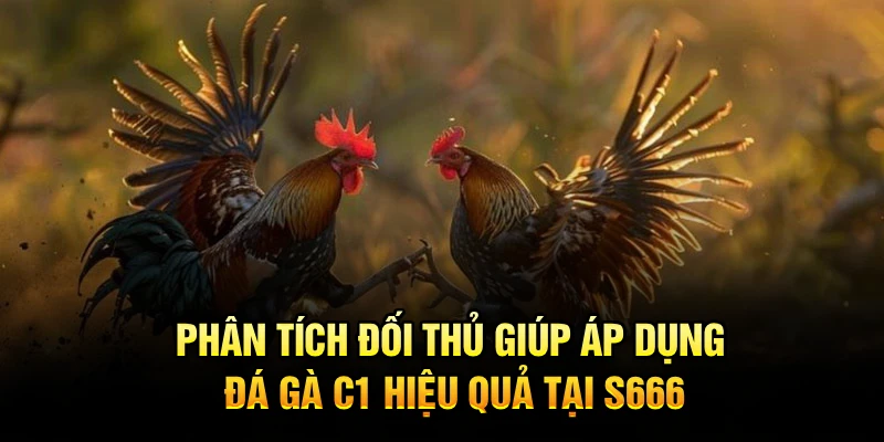 Phân tích đối thủ giúp áp dụng đá gà C1 hiệu quả tại S666