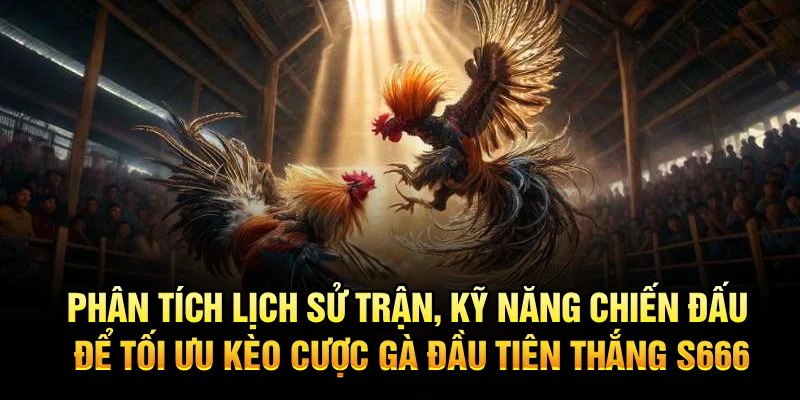Phân tích lịch sử trận, kỹ năng chiến đấu để tối ưu kèo cược gà đầu tiên thắng S666