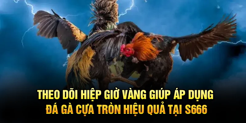 Theo dõi hiệp giờ vàng giúp áp dụng đá gà cựa tròn hiệu quả tại S666